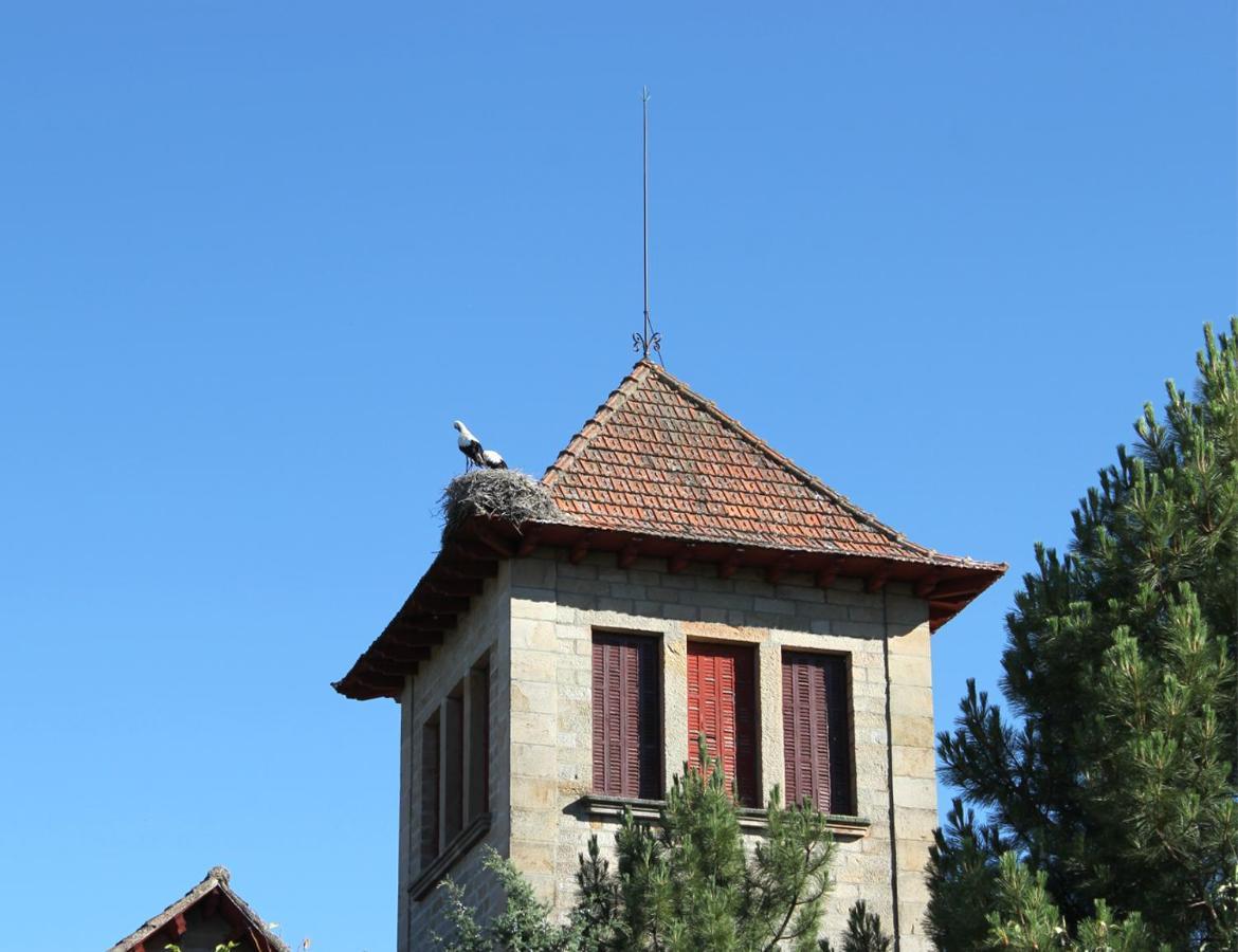 Casa Fuente Salada - Vinuesa Villa ภายนอก รูปภาพ